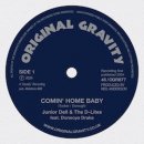 JUNIOR DELL & THE D-LITES / COMIN' HOME BABY