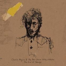 CHARLIE MEGIRA /END OF TEENAGE
