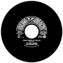 THE SKA FLAMES with DAISUKE ONO / I WON'T NEVER LET YOU GO