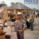 PINDUCA / NA ONDA DO SURUBA