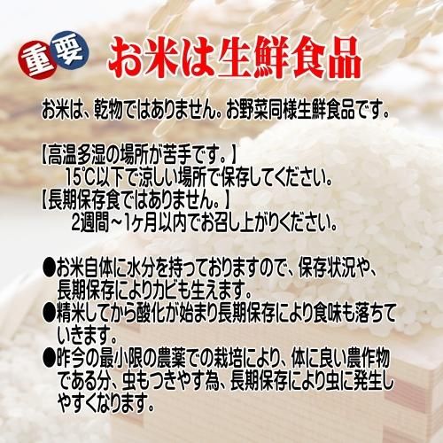 新米送料無料いつでも美味しいを岩手県産ひとめぼれ白米１０ｋｇ - 岩手の米屋 本店