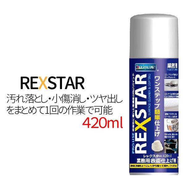 レックスター 4ml 汚れ落としスプレー 自動車汚れ落し 小キズ消しツヤ出し 洗車用品 ケミカル溶剤 業務用 メッキ 塗装面 塗膜 日本製 送料無料 Tenkou