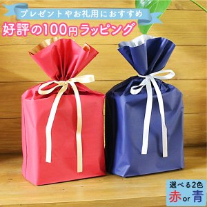 プレゼント用やお礼用におすすめ 好評の100円ラッピング