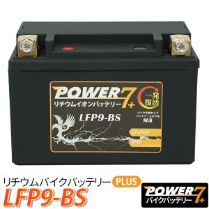 リチウムイオンバッテリー LFP9-BS
