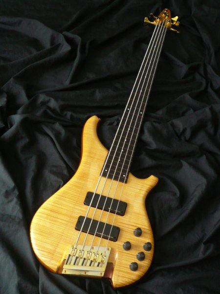 中古】Tune SOMNUS ZiⅡ-5 Fretless Modified - 中古楽器の販売 ロト