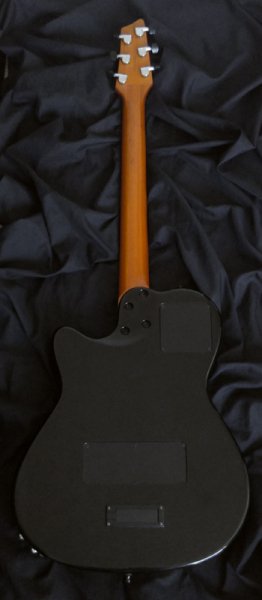 中古】Godin A6 Ultra Black - 中古楽器の販売 ロトミュージック 公式サイト