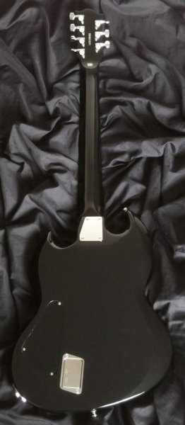 販売品 Edwards 薫モデル　6弦 GREY EN DIR エレキギター