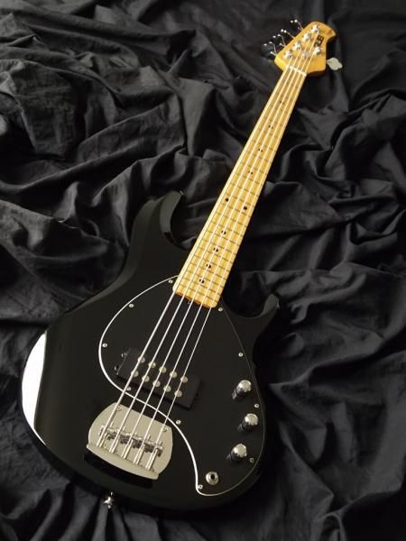 割引 STERLING by Musicman STINGRAY RAY5 RRBS 5弦ベース初心者12点