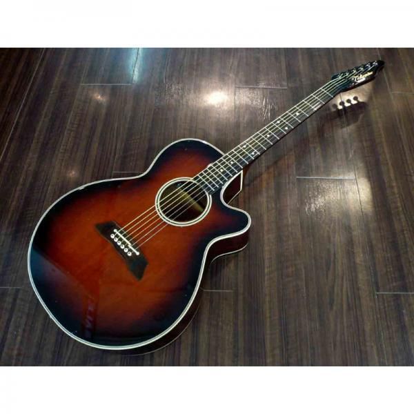 エレアコ タカミネ Takamine PT-106-6 (6連ヘッド) - アコースティック 