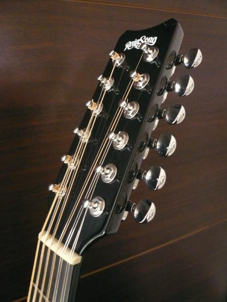 中古】RAIN SONG JM-3000 オールグラファイト製 12弦ギター - 中古楽器 