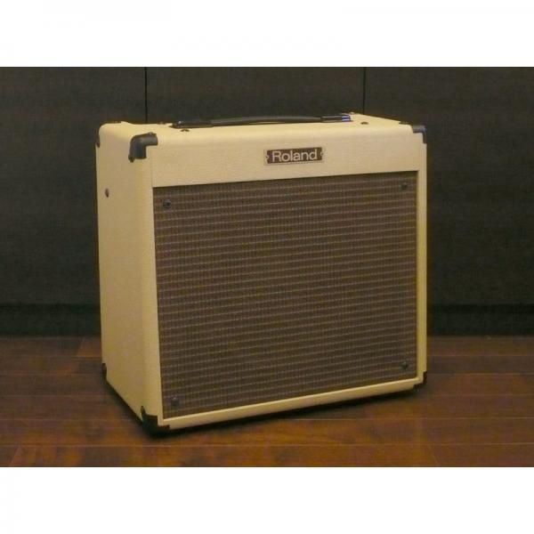 Roland BC-30 Blues Cube 送料無料 器材 | thephysicaleducator.com