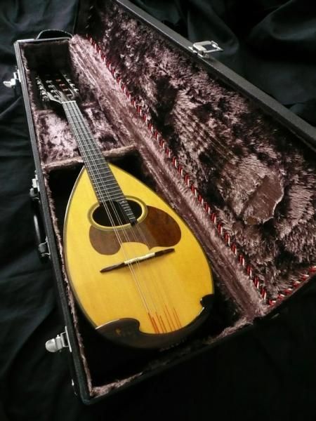 中古】SUZUKI M-30 Mandolin スズキ マンドリン - 中古楽器の販売 ロト 