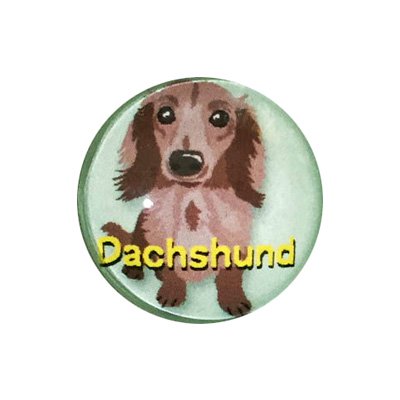 20mmガラスピンバッジ・犬／ダックスフンド(YGR) - RUE DU BAC onlineshop |  雑貨・アクセサリー・ファッション小物・インテリアのお店リュードバック