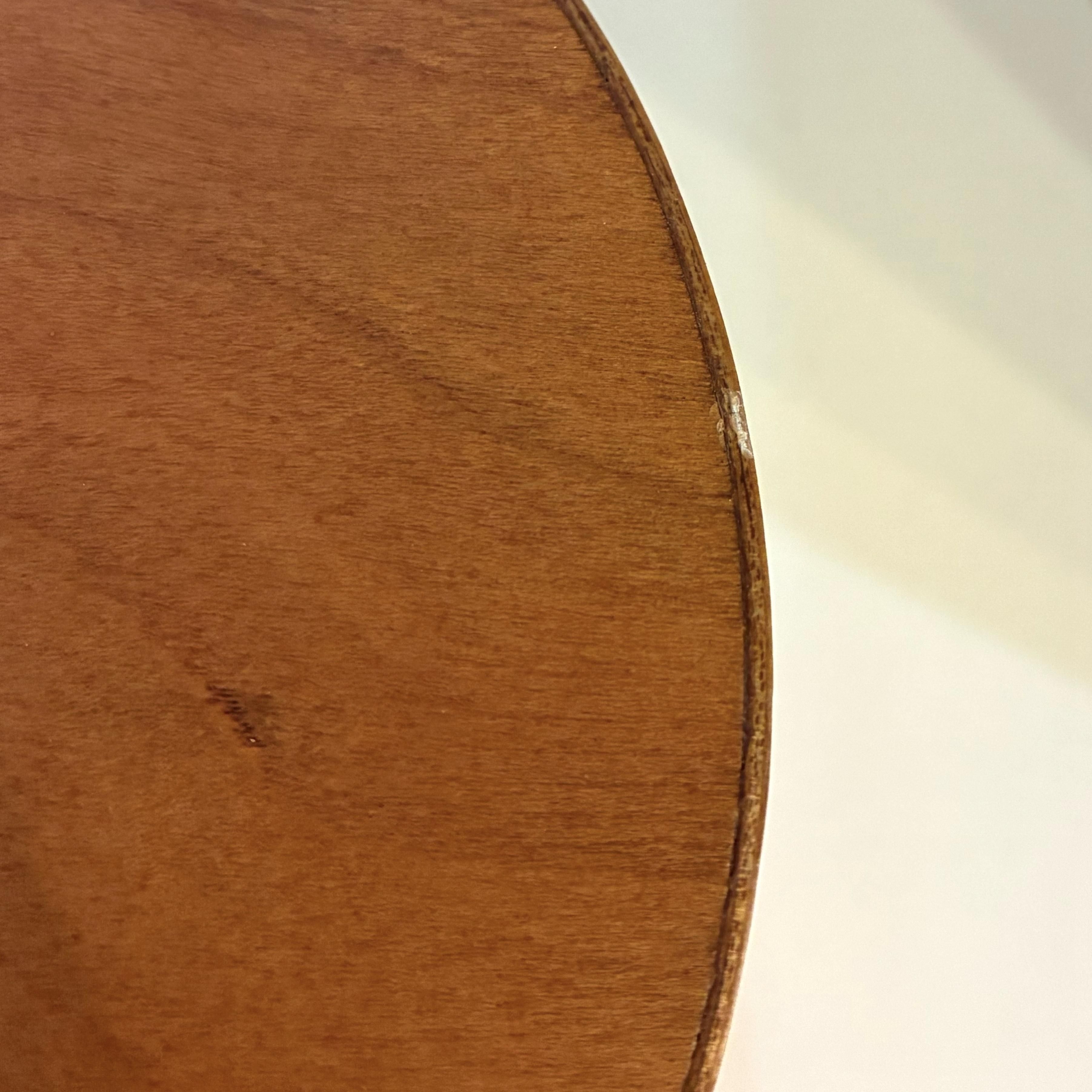 Homestead ۡॹƥå  Х ܥå Ǽܥå 1 