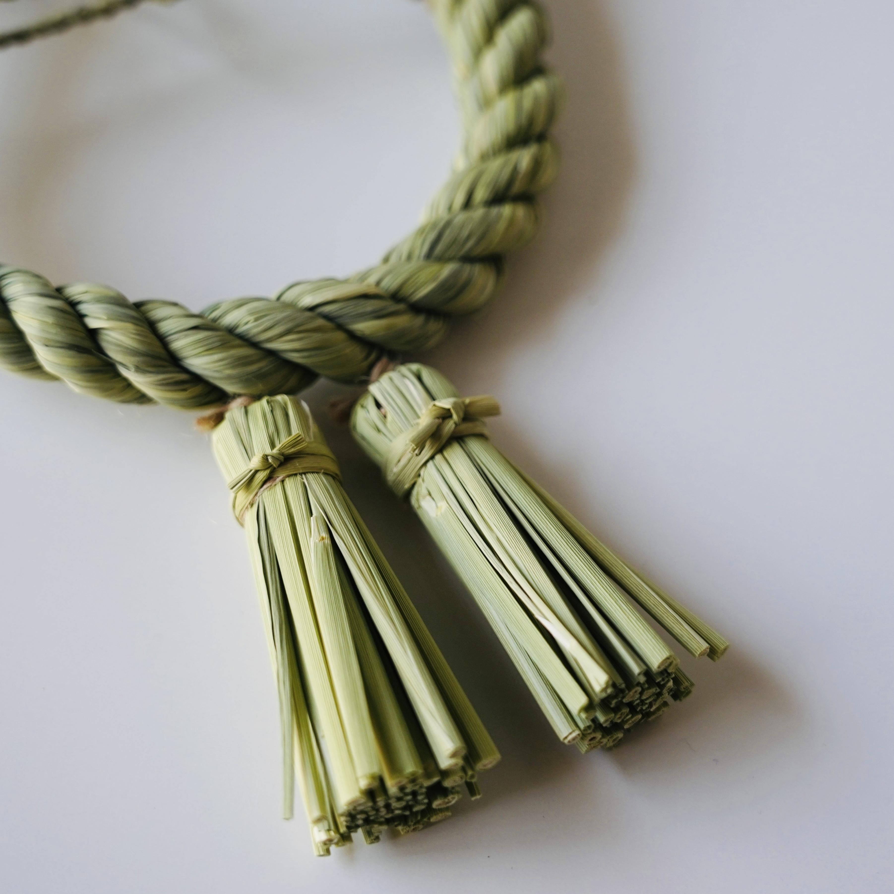 ߡ   襤ɤ Ȥ֤ɤ  Ĺ  ʪ  ʪ  ǯᤫ      Ȥ֤ɤ ٹ ﵯʪ