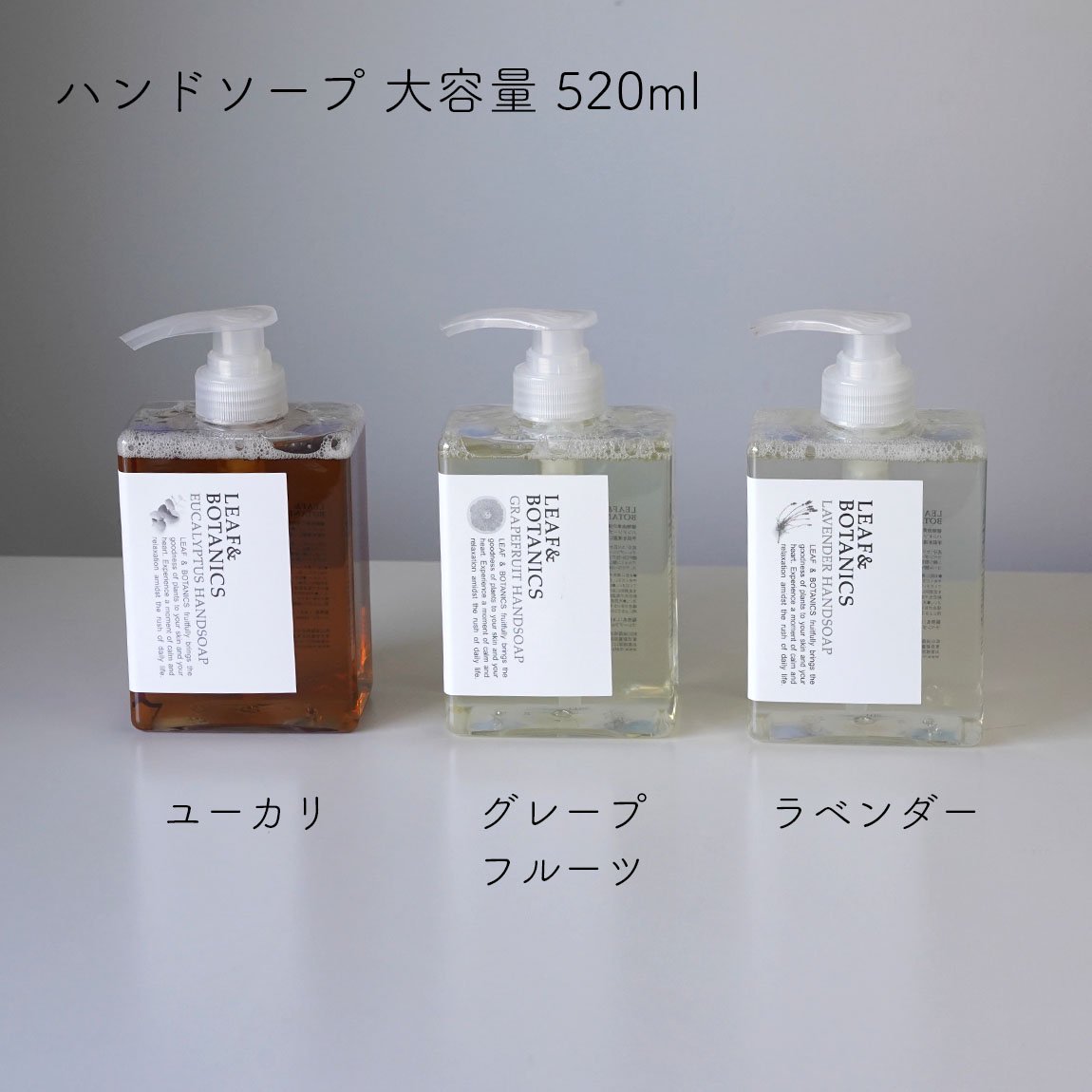 LEAF&BOTANICS | ハンドソープ | 大容量 520ml - Anchor Bridge アンカーブリッジ ONLINE STORE |  テーブルウェア インテリア