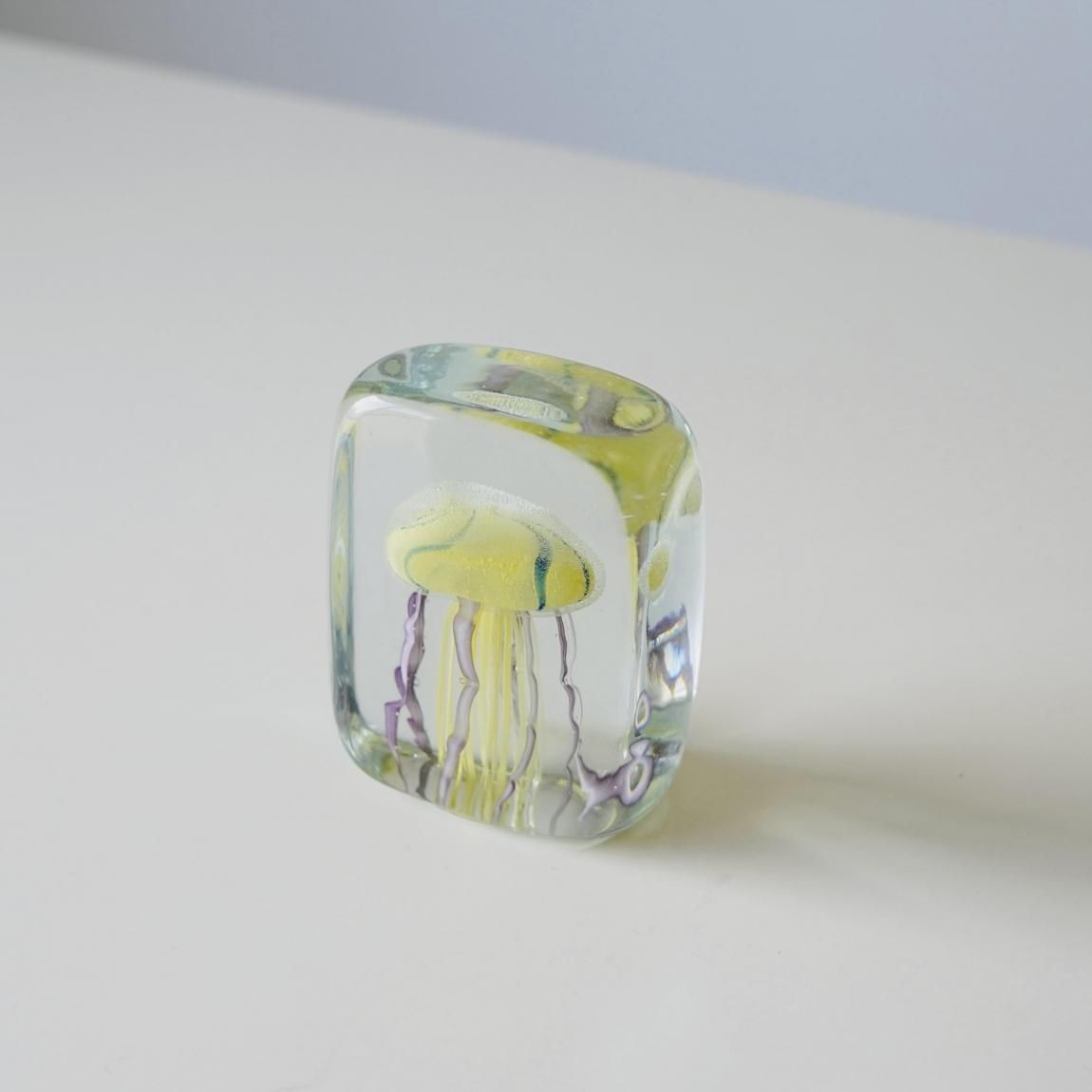 DETAIL | ディテール | ジェリーフィッシュ | ツイストレッグ［全3種