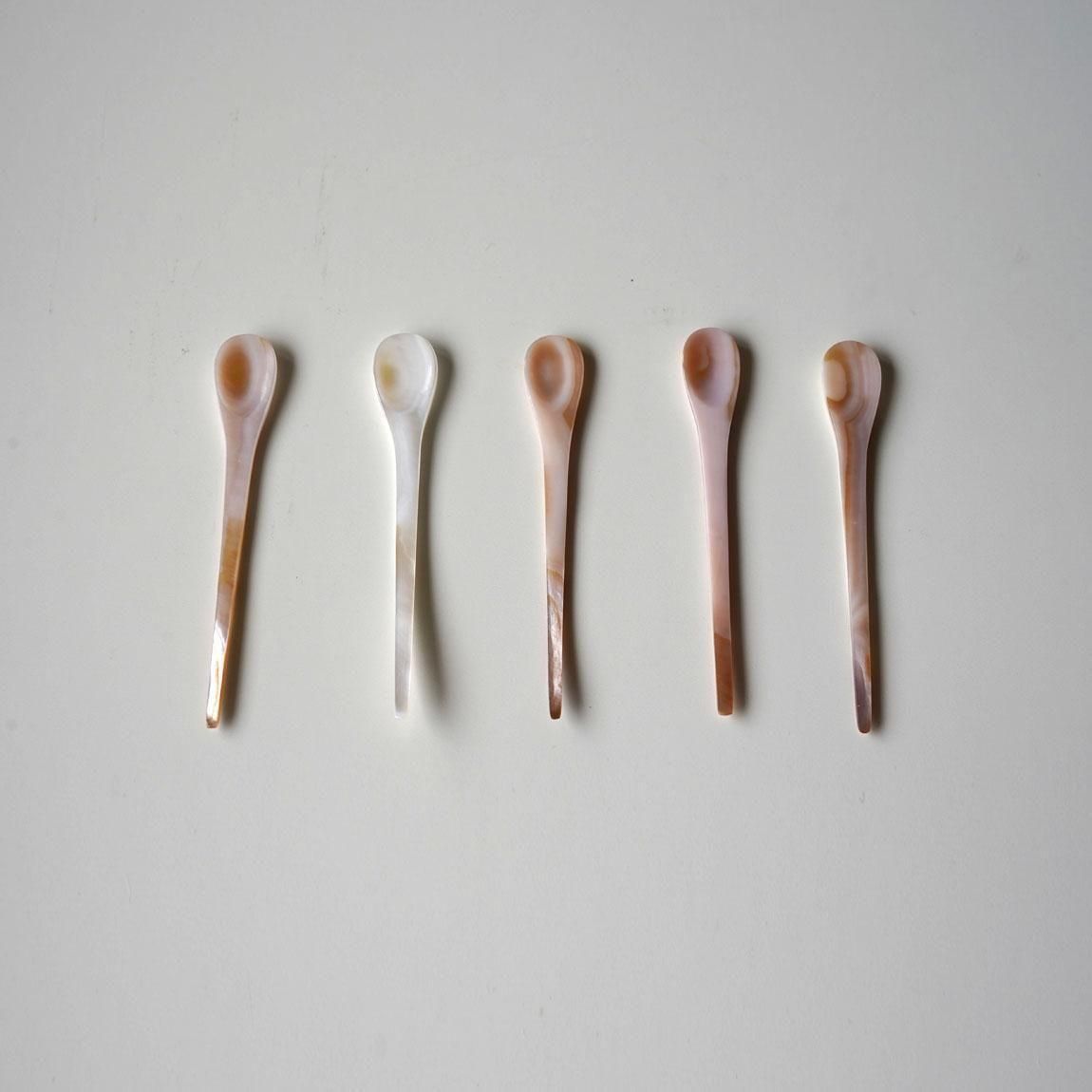 マザーオブパール シェル | スパイススプーン - Anchor Bridge