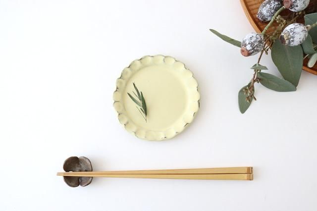 信楽焼　ゴールド皿3枚 信楽焼 ゴールド皿3枚