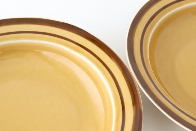 Mizuki×うちるコラボ】｜21cmリム深皿｜ライン｜磁器｜波佐見焼