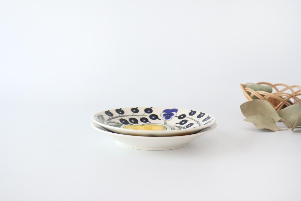 ӥѥƥåץ졼ȡ16.5cm顼ARABIAParatiisi 5