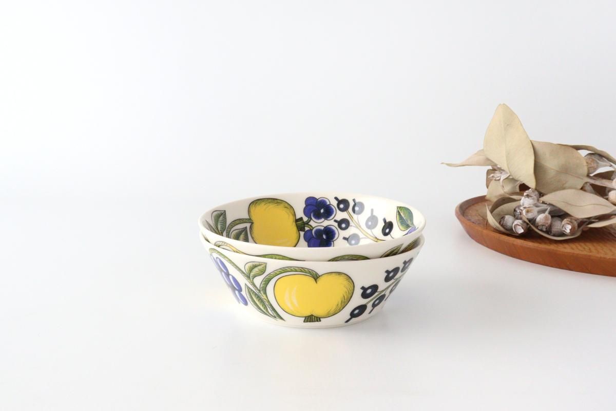 ӥѥƥåܥ롡13cm顼ARABIAParatiisi 5