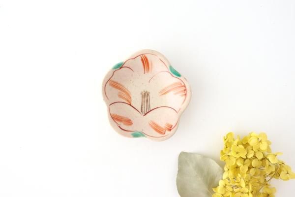 華やかなお皿｜和食器通販｜おうちで楽しむ陶器市うちる