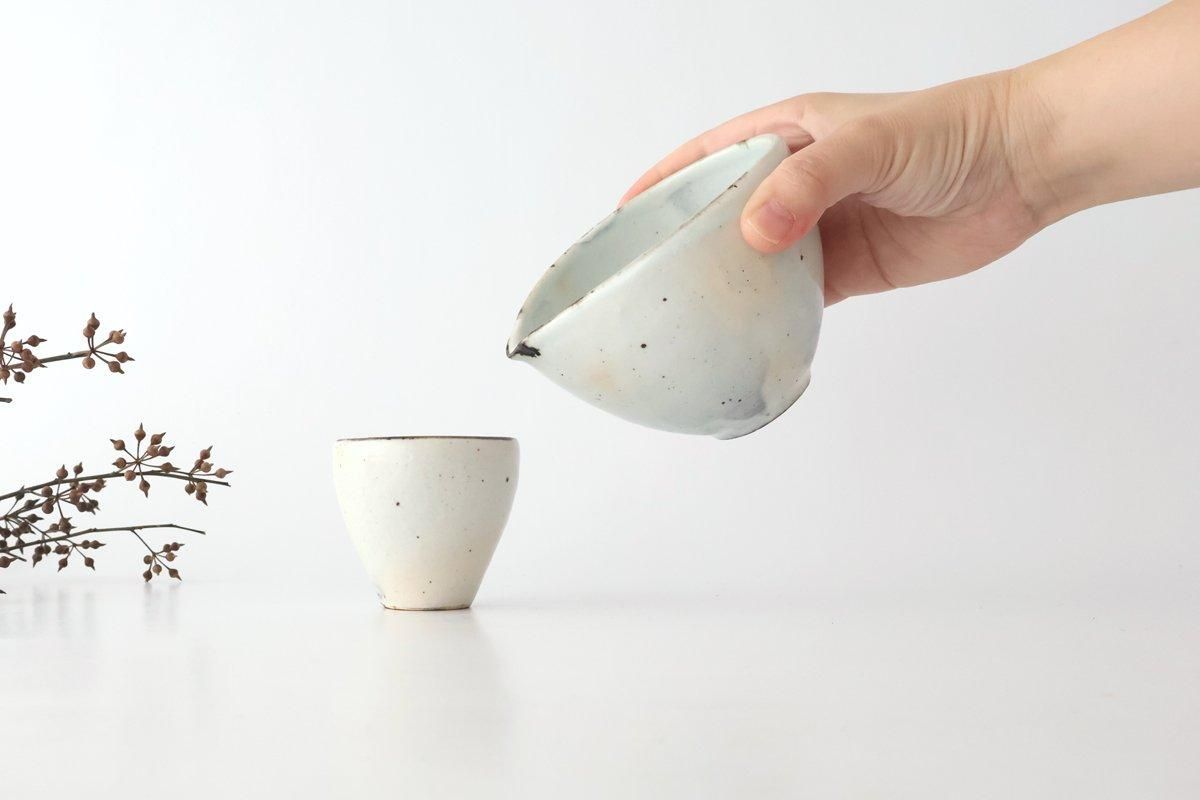 信楽焼 小皿 セット 和食器 おしゃれ 小鉢 陶器 かわいい 皿 鉢