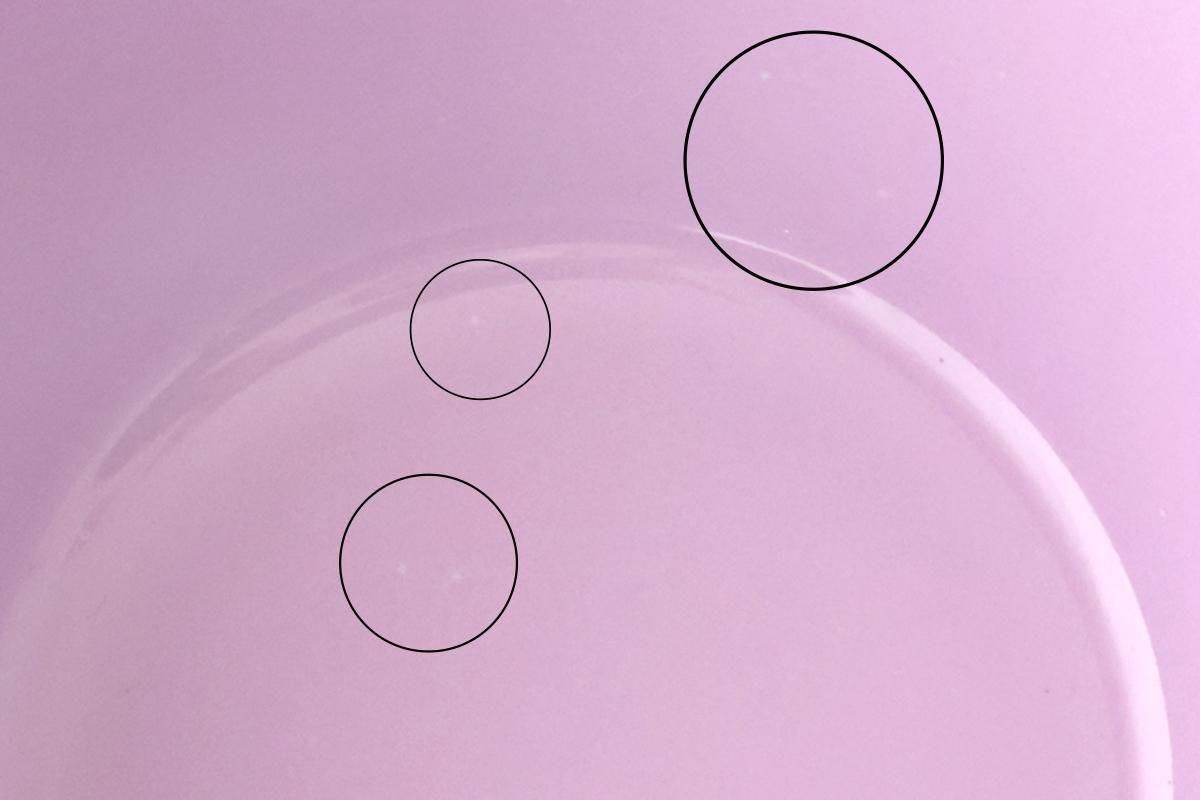 イッタラ ティーマ ライトライラック3点セット イッタラ ティーマ ライトライラック3点セット イッタラ ティーマ