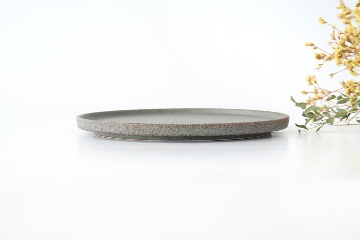  ݻ23cm֥롼Vegaǻ 3