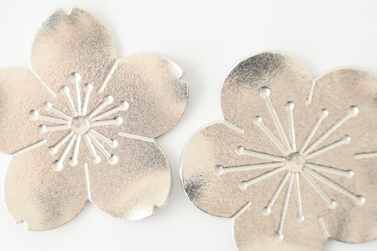  2åȡۡڥڥåȡۥեȥ졼ߥˡ⡡ǽ 2