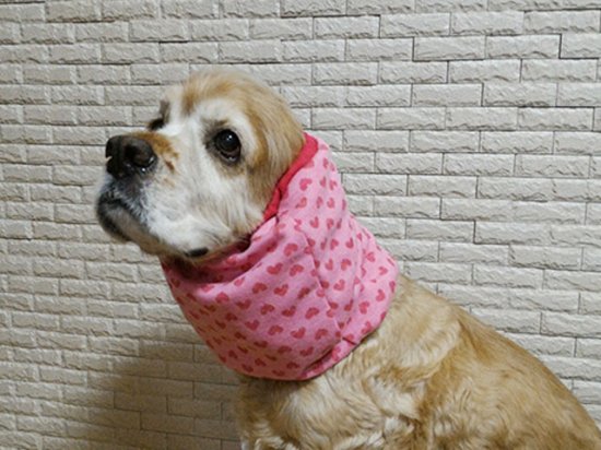 コッカー用 スヌード スヌード 中型犬 オリジナル犬服と雑貨通販の M S Diamond