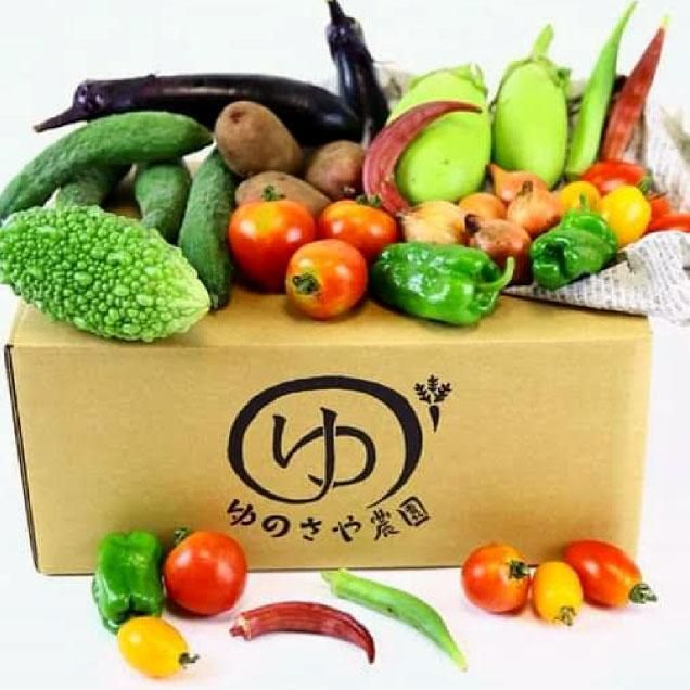 野菜セット - ゆのさや農園 ONLINE SHOP