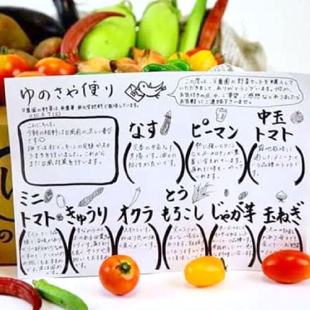 野菜セット - ゆのさや農園 ONLINE SHOP