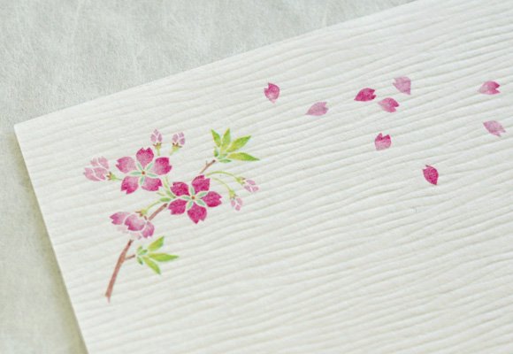 敷紙 - 桜
