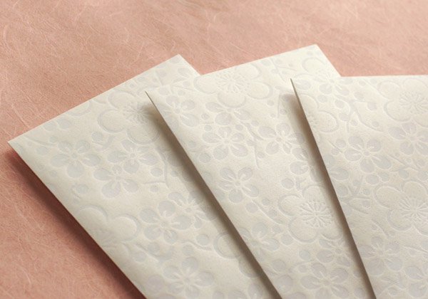 和紙のし袋 - キラ刷り梅