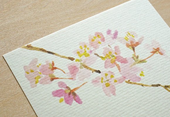和紙はがき-桜