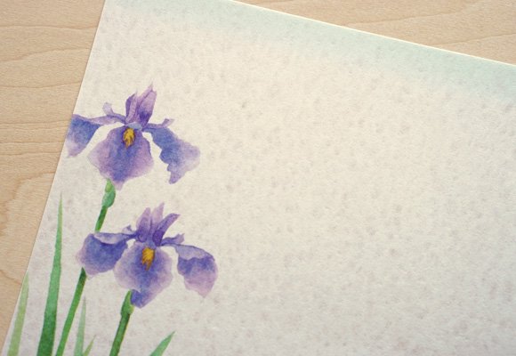 美しい花菖蒲のレターセット「旬花」季節の花 美濃和紙 - 木乃香