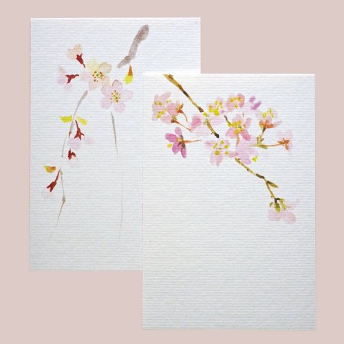 和紙 はがき｜季節の絵葉書「春」桜／しだれ桜 - 木乃香