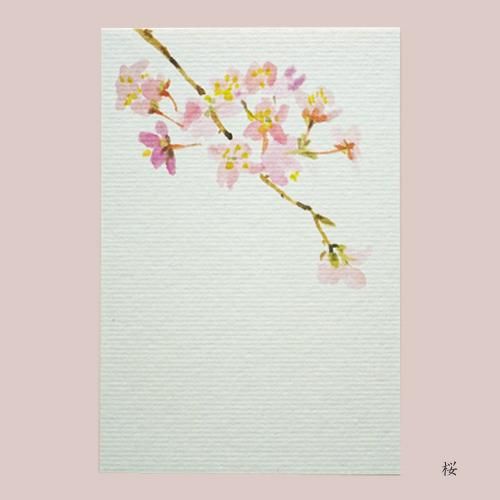和紙 はがき｜季節の絵葉書「春」桜／しだれ桜 - 木乃香