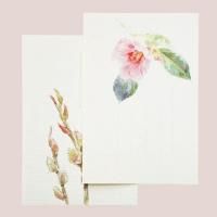 ΤϤߡաͤʤ<img class='new_mark_img2' src='https://img.shop-pro.jp/img/new/icons7.gif' style='border:none;display:inline;margin:0px;padding:0px;width:auto;' />