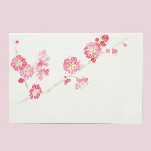 季節の絵はがき 冬 早春 紅梅 梅の花 和紙絵葉書 木乃香