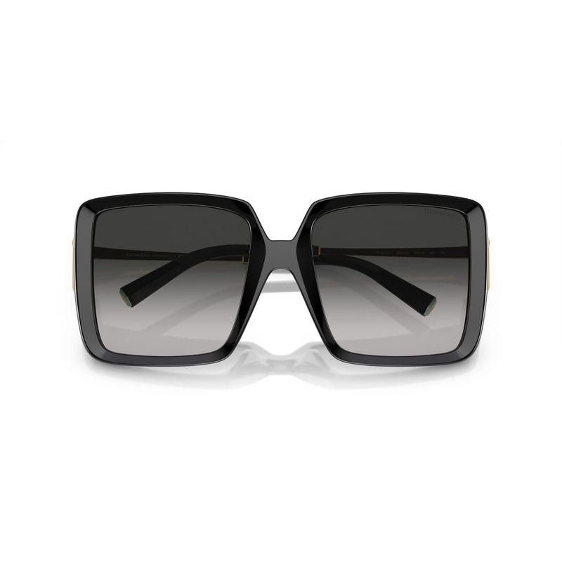 ƥեˡ TIFFANY&CO. TF4212U 8001/3C