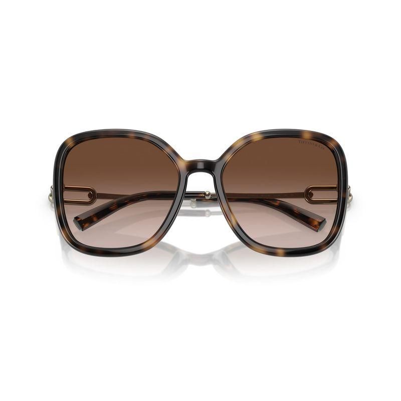 ƥեˡ TIFFANY&CO. TF4202U 8015/3B