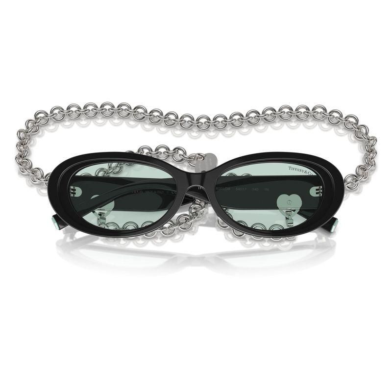 ƥեˡ TIFFANY&CO. TF4221 8001/D9