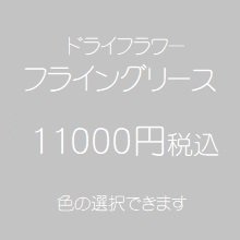 ドライフラワーフライングリース11000円