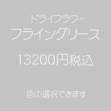 ドライフラワーフライングリース13200円