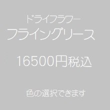 ドライフラワーフライングリース16500円