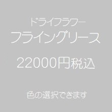 ドライフラワーフライングリース22000円