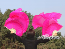 ٥꡼󥹥ե١ƻ񥷥륯pink¤å 2